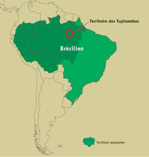 Die Tupinabá kämpfen seit Ankunft der Portugiesen um ihr Territorium. 2002 wurden Sie als indigenes Volk anerkannt, doch bis heute wurde ihnen ihr Territorium nicht offiziell anerkannt. (Grafik: GfbV)