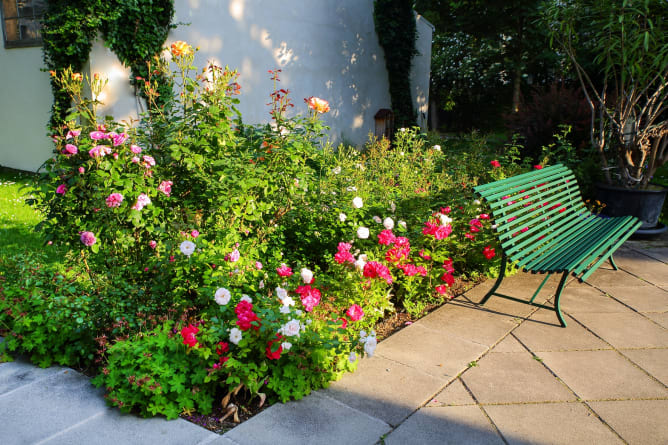 Flower bed laid in 2018 (Photo © Phototiller/Sophie Tiller)