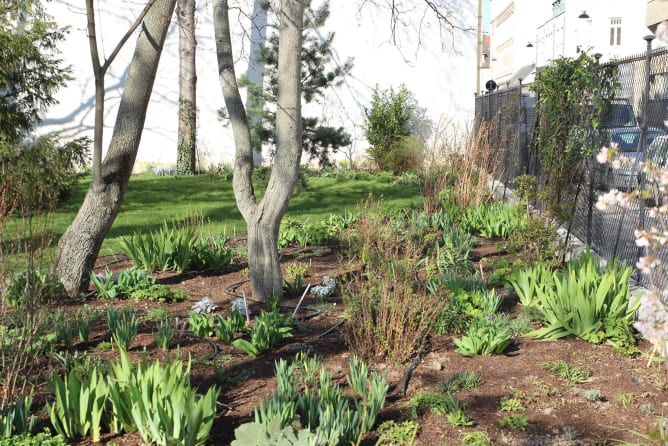 Example of a newly laid flower bed in March 2019 (Photo © Klimt Villa)