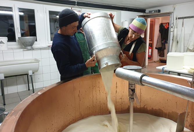 Auf der Alp wird aus der Milch meiner Kühe Raclette AOP hergestellt.