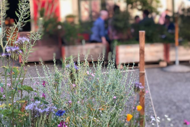 Urban Gardening für mehr Artenvielfalt im Siedlungsgebiet: GLP-Sitzung im Zeughausgarten.