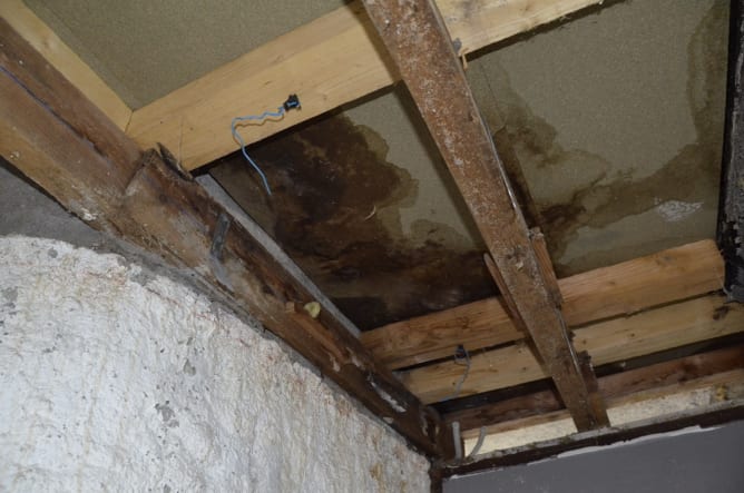 Leaking roof, on of many spots