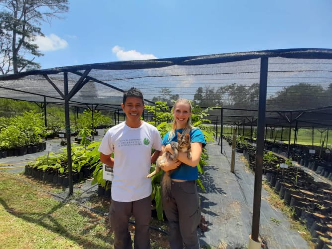 Tree nursery, the cats are used as hunters for rats who love to eat the seedlings