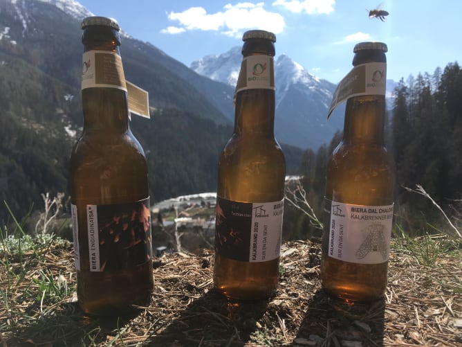 lokale Ressourcen: Kalkbrenner Bier mit Bündner Bio Gerstenmalz «gran alpin»