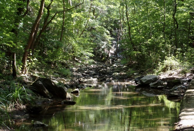 Bewaldetes Tal, Griechenland, August 2015