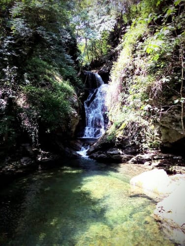 Der Wasserfall der blauen Libellen