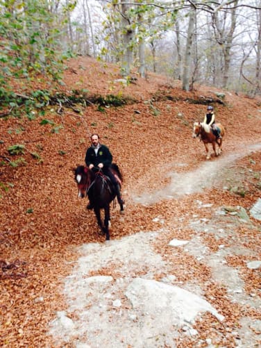 Escursioni a cavallo