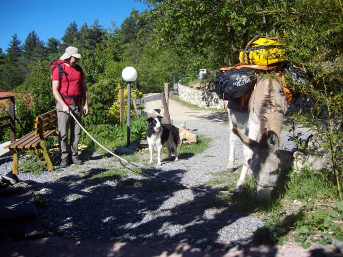 Ospitalità