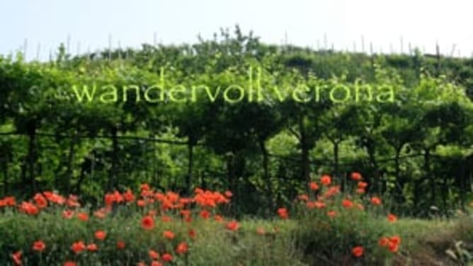 wandervoll verona impressionen