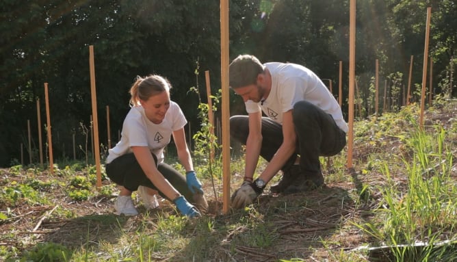 Plantation dans le canton de Vaud