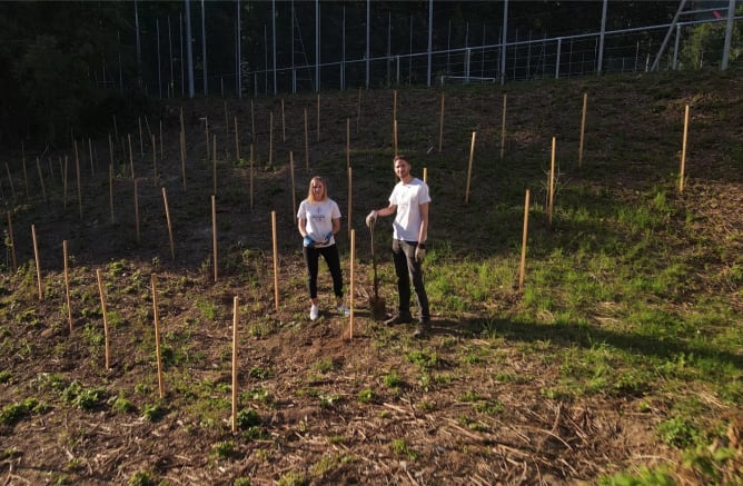 Plantation dans le canton de Vaud