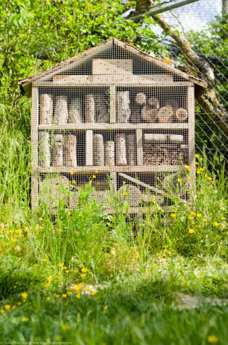 A Wonder Fauna project from the Bioparc Genève. An insect hotel, has been installed in this animal park by the wild bee specialist, Max Huber.