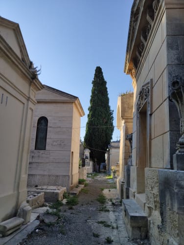 Zentralfriedhof Lecce, mittdendrin..