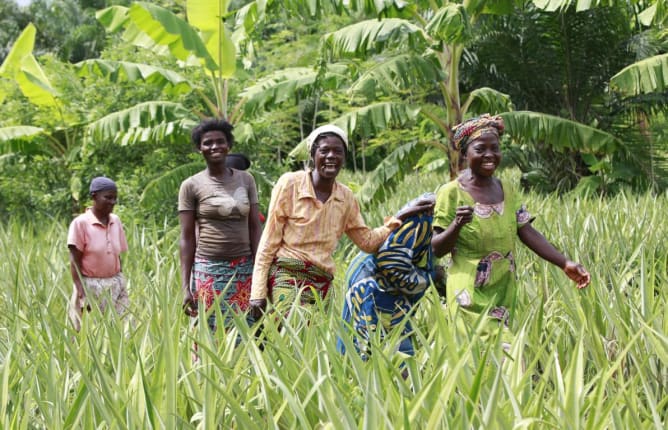 Permakultur-Pioniere in Togo