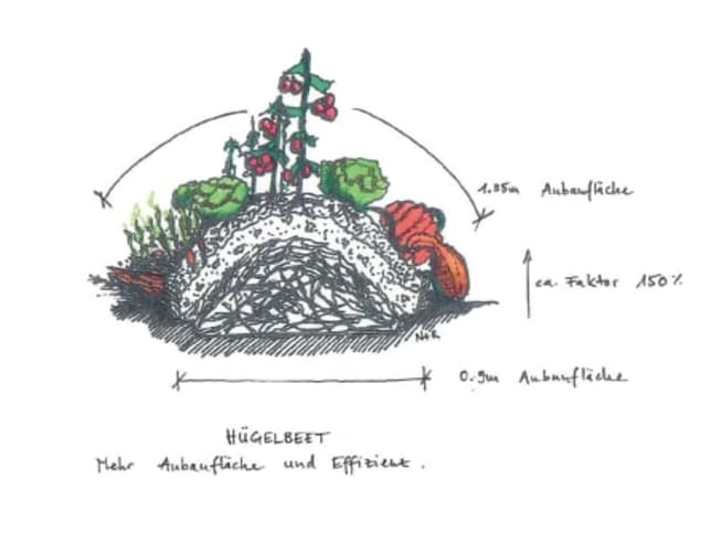 Hügelbeet