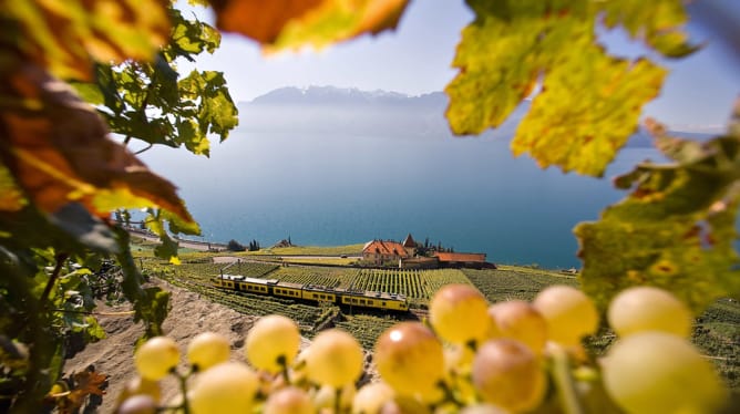 The Lavaux Vineyards, UNESCO Heritage for Humanity and location of the Concerts Culinaires de Chardonne