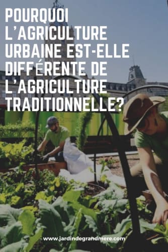 sujets de thématique Agruculture urbaine