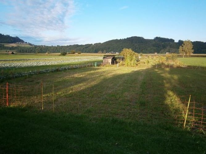 Aussenplatz in Mühlethurnen