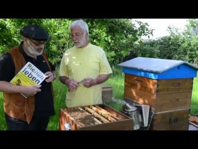 Bienenleben 2