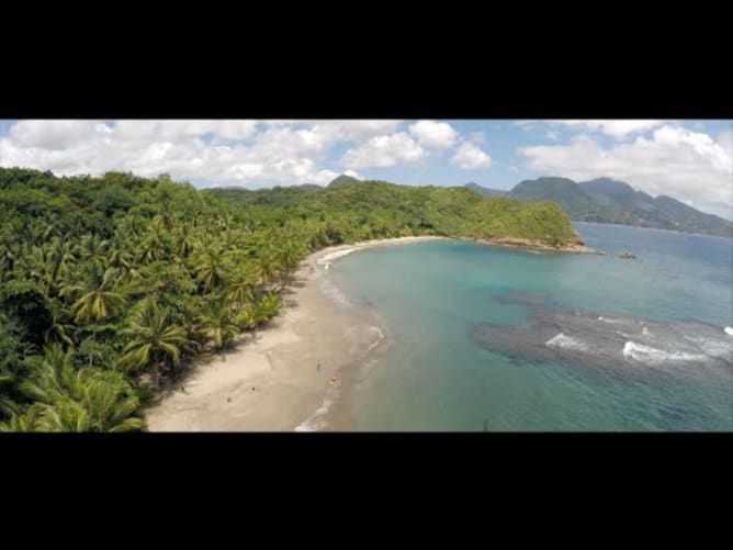 Dominica (The Nature Island in 4K)
