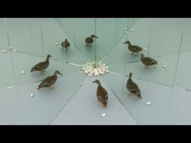 Larytta - Souvenir de Chine - video directed by körner union