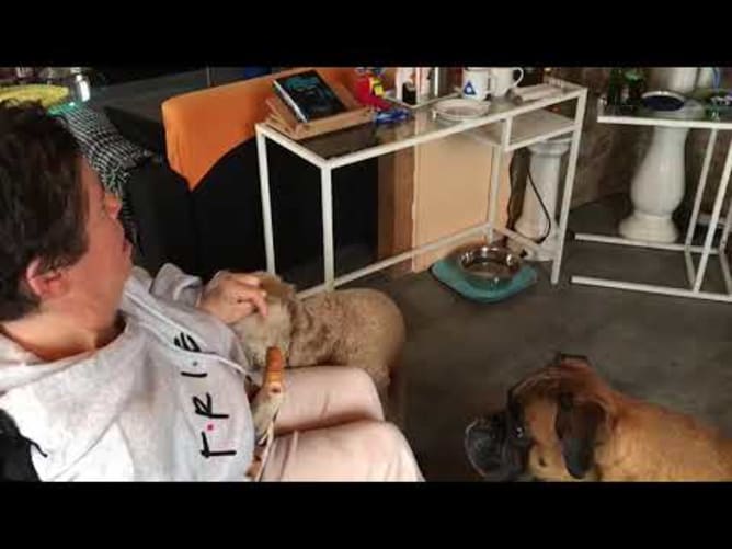 Nachschlag