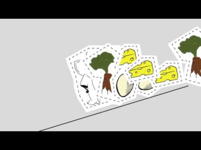 Kochgeschichten Eins - Crowdfunding