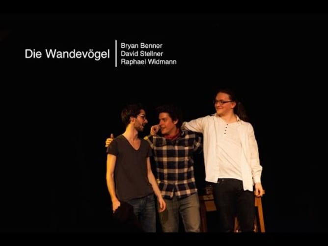 Die Wandervögel Live