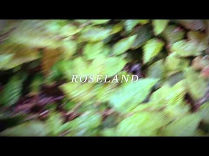 THE VIEW ELECTRICAL - New Album Teaser 2