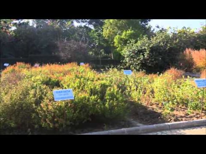 About Nirma University