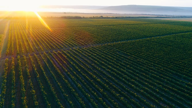 Weingut Fautor - Sonnenuntergang und Vogelperspektive auf das Weingut 