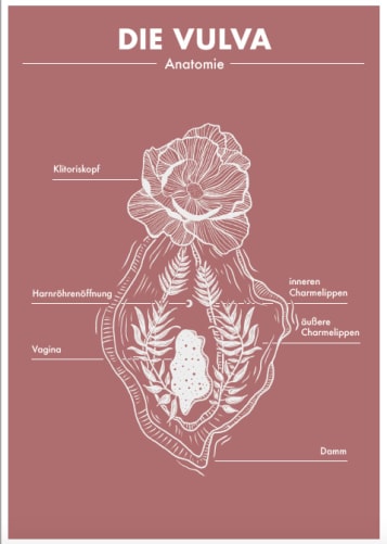 Vulva Postkarte