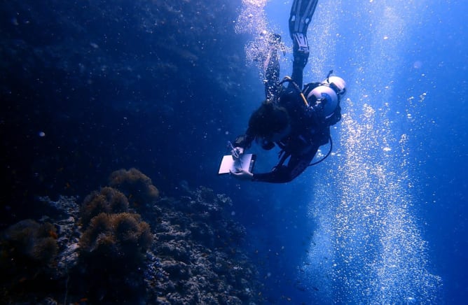 Marie is an avid scuba-diver. She always draws and observes the coral reef while diving.