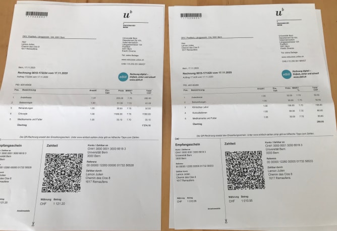 Invoices Tierspital