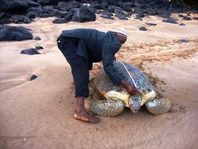 The eco-guards of Ndroudé