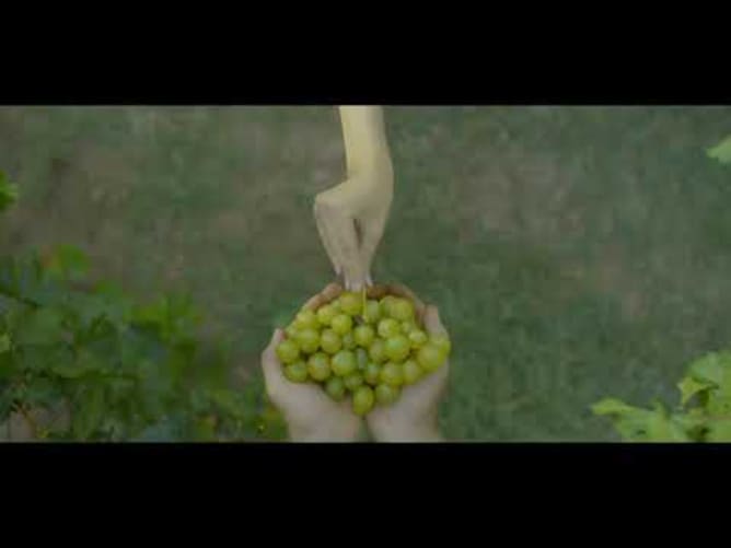 wine tourism Moldova