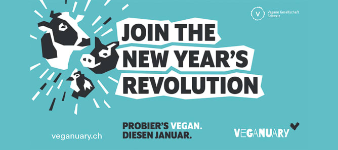 Projet Impact Fund 2020: «Veganuary 2021»