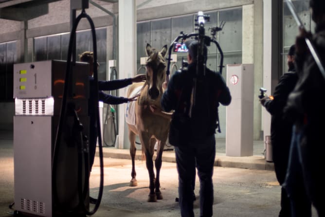 Tournage d'une scène avec le cheval Romero.