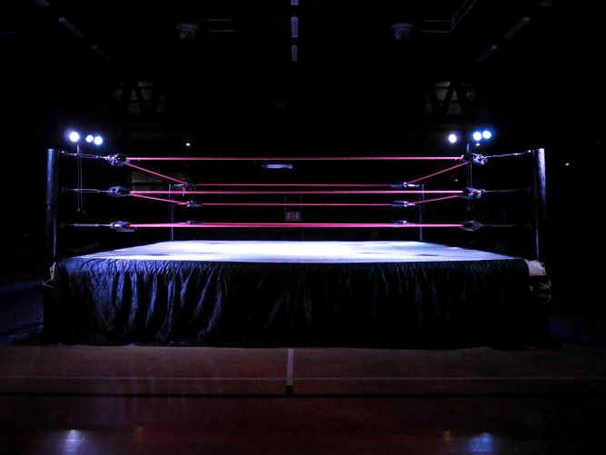 Wrestling-Ring