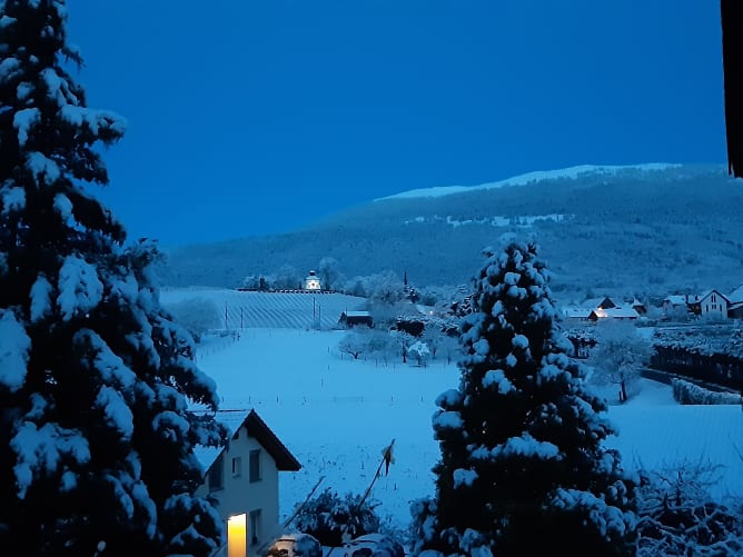 La vue depuis la roulotte