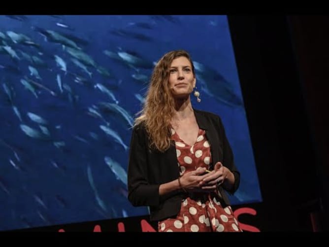 Ulrike Pfreundt: Engineering Coral Reefs (2019 WORLD.MINDS Annual Symposium)