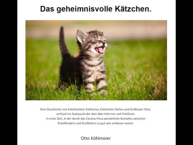 Das geheimnisvolle Kätzchen