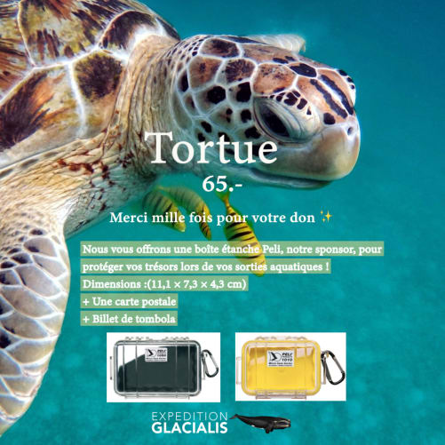 Marine turtle Peli Case + Postcard + Raffle Ticket (only in Switzerland)