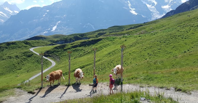 Lieselottteweg/ Männlichen vom 1. Wanderbuch 