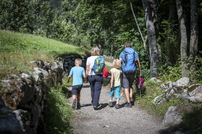 Gogwärgiweg/ Fieschertal vom 1. Wanderbuch