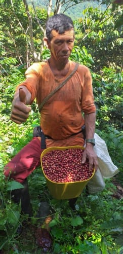 Luis bei der Kaffee-Ernte