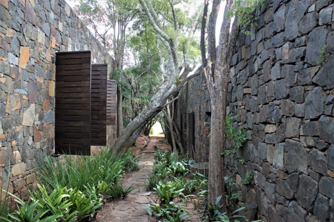 Coromandel House captivating micro-habitats Photo by Edna Peres