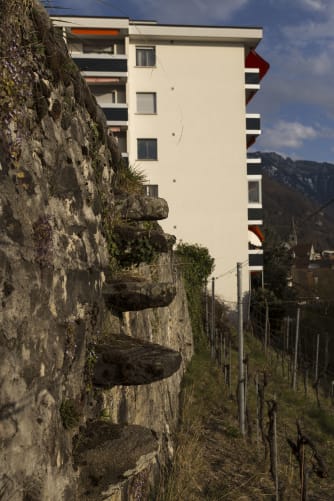 Le contraste entre la ville et la vigne, le passé et le présent est flagrant