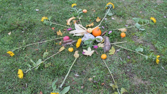 Die Schönheit der Natur zelebrieren