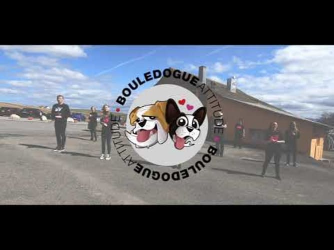 Bouledogue Attitude Dance Challenge